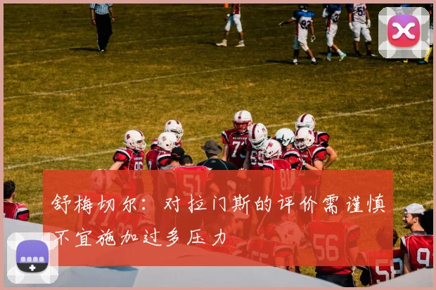 舒梅切尔：对拉门斯的评价需谨慎不宜施加过多压力