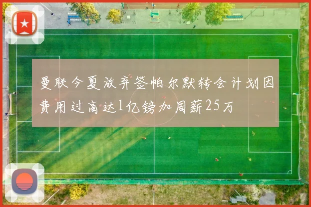 曼联今夏放弃签帕尔默转会计划因费用过高达1亿镑加周薪25万