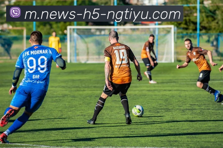 南宫体育APP 封面图